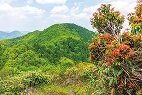 ふるさと100山番外編 「泉山」1